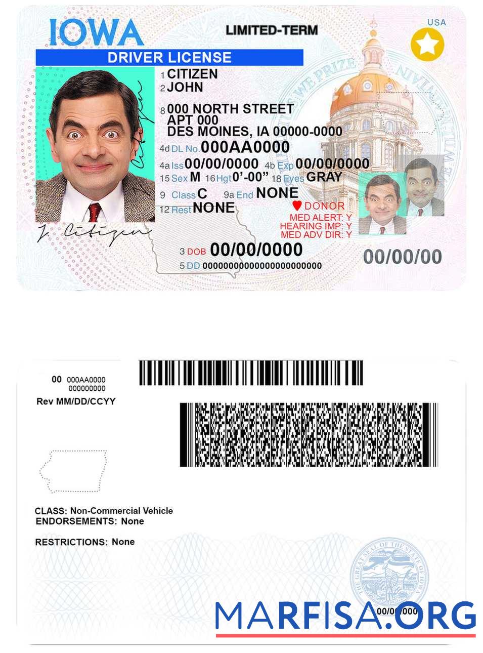 Downloadable USA Iowa driving license real example
